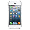 Apple iPhone 5 32Gb white - Белгород